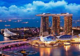 ayx大厅手机版登录入口电脑免费版